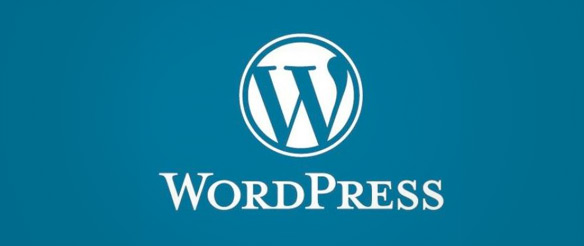 De zoektocht naar een Content Management Systeem: WordPress